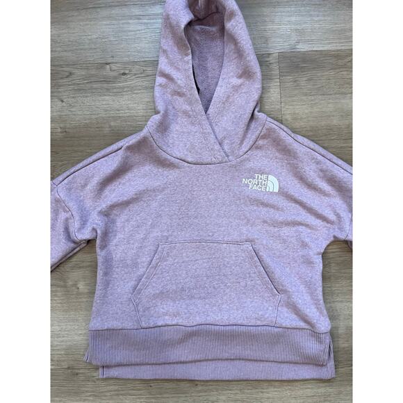 The North Face Youth Girls Size S Protect Our Future Limited Edition Pink Hoodie - Picture 2 of 9